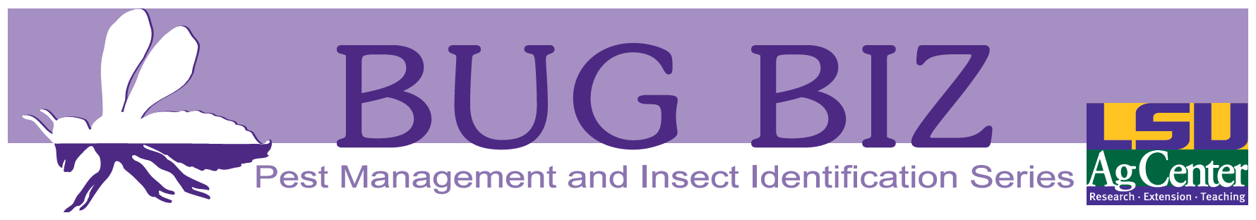 Bug biz banner.